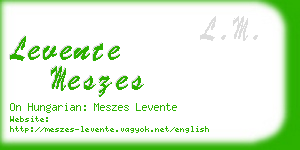 levente meszes business card